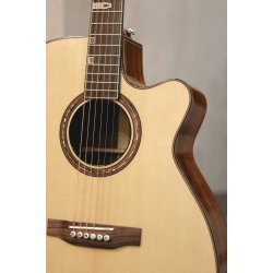 Fonzo V-201S OM Cutaway